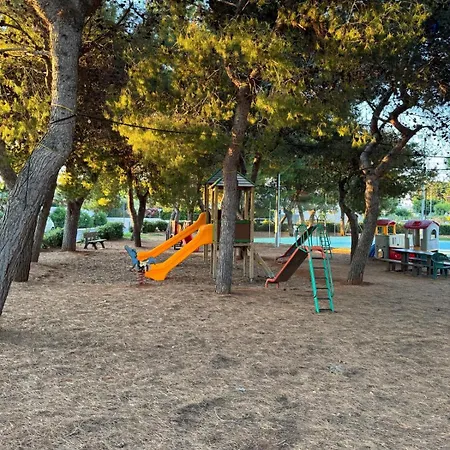 Claudia * Specchiolla